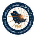 Prince Mohammad Bin Fahd University
