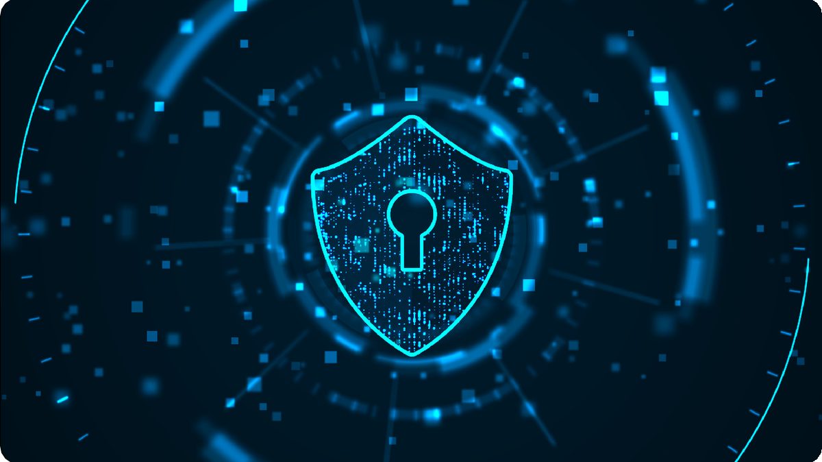 Cyber security shield over a network